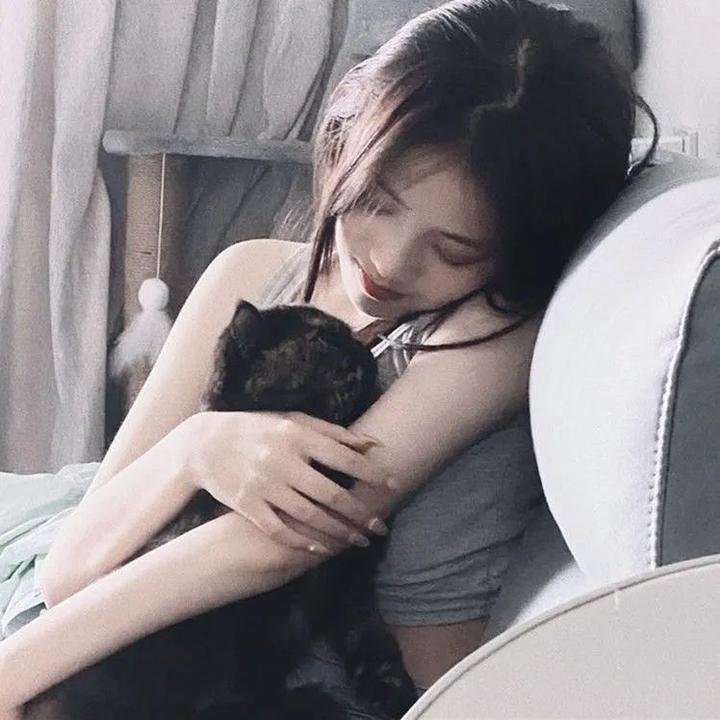 埃尔维斯